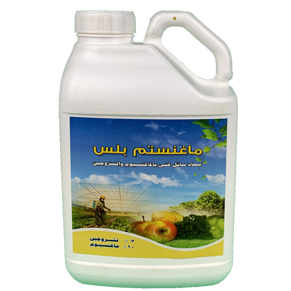 ماغنستم بلس