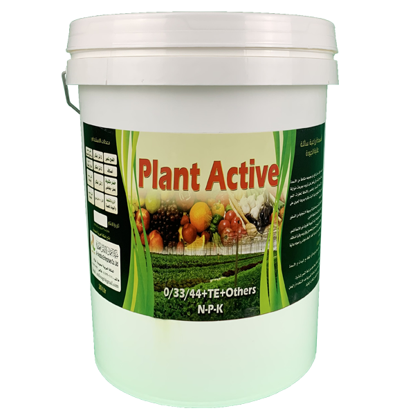 بلانت أكتيف